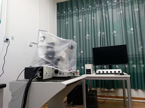 GG扑克